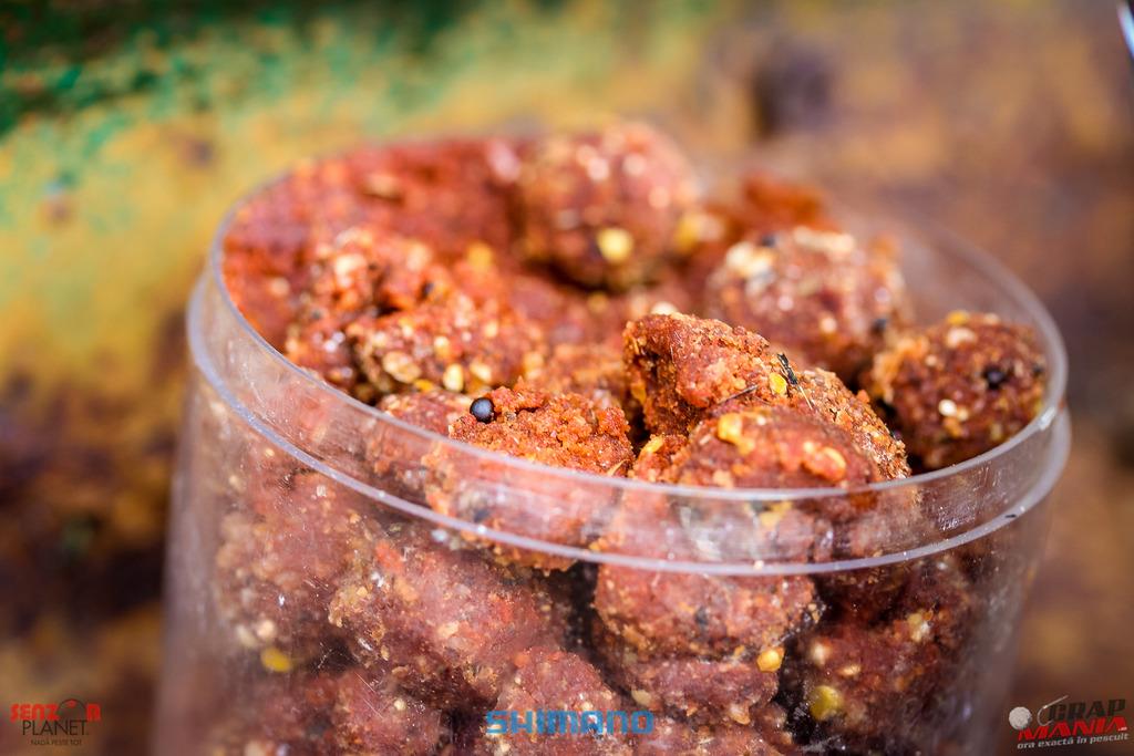 CN 2017 - nada-corbu.jpg